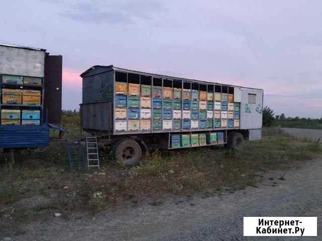 Пчелоприцеп Хадыженск - изображение 1