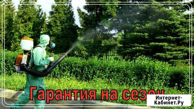 Обработка участка от клещей, кротов, борщевика, ос Раменское - изображение 1