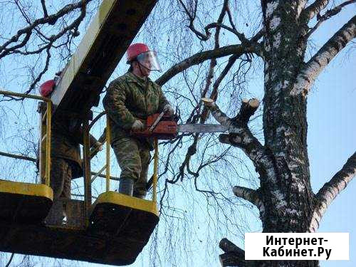 Опиловка, валка деревьев,покос травы Липецк - изображение 1