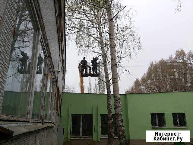 Кронирование и спил деревьев Самара - изображение 1