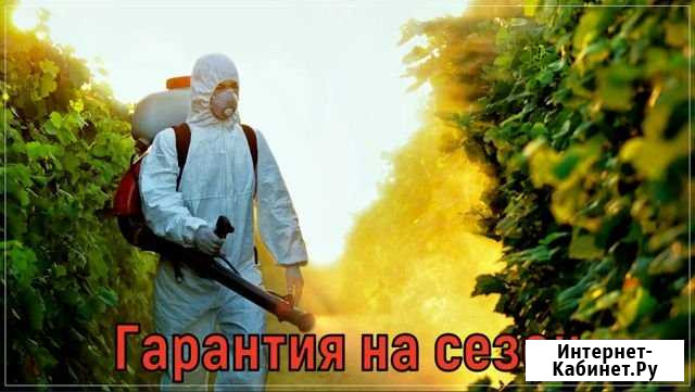 Обработка участка от клещей, кротов, борщевика, ос Одинцово - изображение 1
