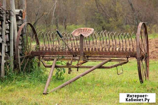 Грабли конские Нытва - изображение 1
