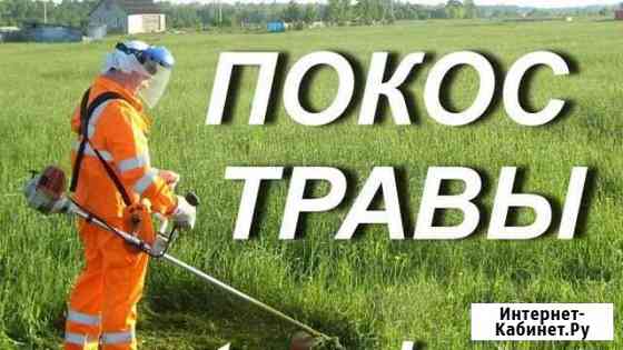 Покос травы Пушкино
