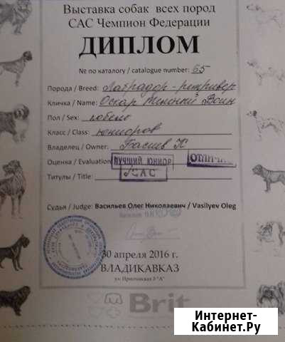 Ищем подругу Владикавказ - изображение 1