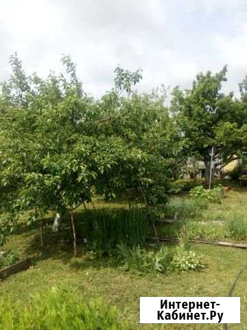 Дача 45 м² на участке 6 сот. на продажу в Толмачево Ленинградской области Толмачево - изображение 1
