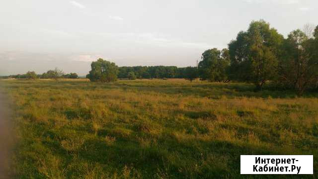 Участок ИЖС 20 сот. на продажу в Курске Курск - изображение 1