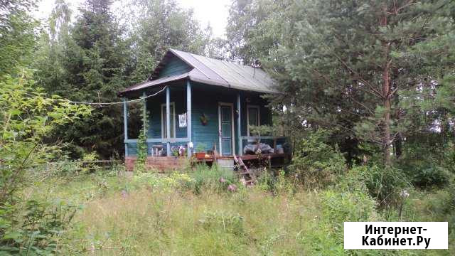 Участок СНТ, ДНП 9 сот. на продажу в Гаврилово Гаврилово - изображение 1