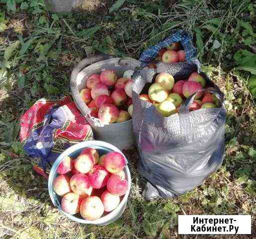 Участок СНТ, ДНП 6 сот. на продажу в Челябинске Челябинск