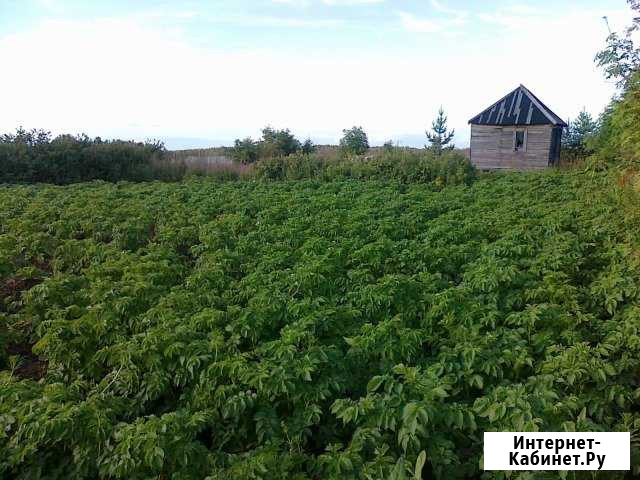 Участок СНТ, ДНП 8 сот. на продажу в Архангельске Архангельск - изображение 1