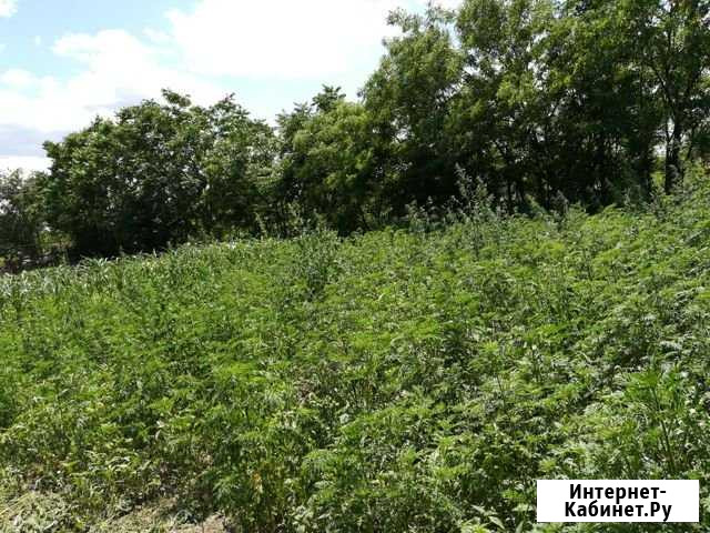 Участок СНТ, ДНП 7 сот. на продажу в Армавире Армавир - изображение 1