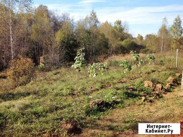 Участок СНТ, ДНП 6 сот. на продажу в Красноармейске Московской области Красноармейск - изображение 1