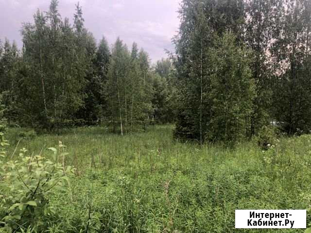 Участок СНТ, ДНП 15 сот. на продажу в Деденево Деденево - изображение 1
