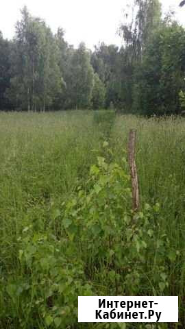 Участок ИЖС 12 сот. на продажу в Солнечногорске Солнечногорск - изображение 1