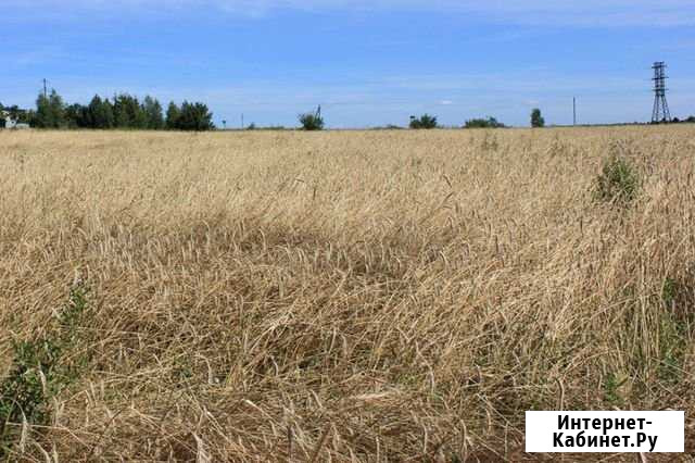 Участок СНТ, ДНП 410 сот. на продажу в Старом Крыме Старый Крым - изображение 1