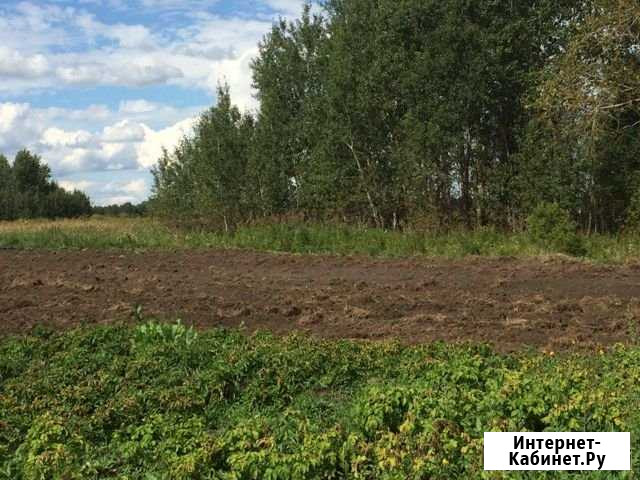 Участок ИЖС 1500 сот. на продажу в Юргинском Юргинское - изображение 1