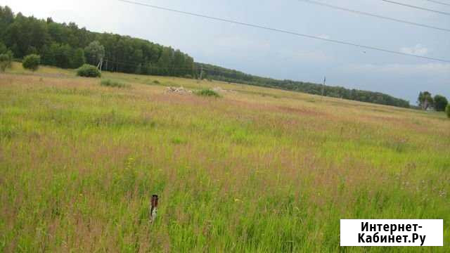 Участок СНТ, ДНП 1152 сот. на продажу в Серпухове Серпухов - изображение 1