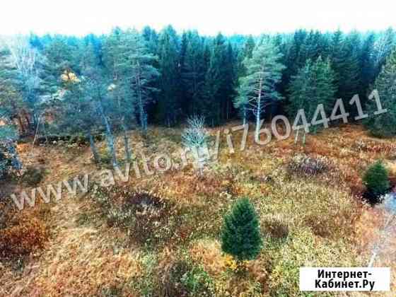 Участок ИЖС 12 сот. на продажу в Рощино Ленинградской области Рощино