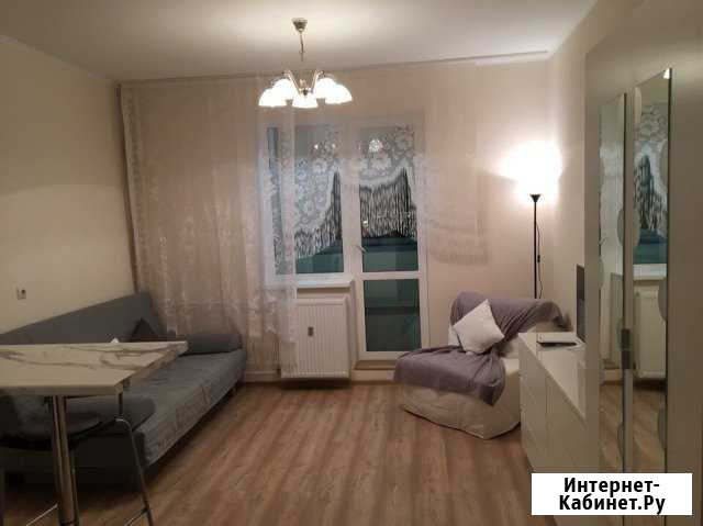 Квартира-студия, 27 м², 13/24 эт. в аренду на длительный срок в Мурино Мурино - изображение 1