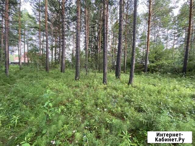 Участок ИЖС 15 сот. на продажу в Ангарске Ангарск - изображение 1