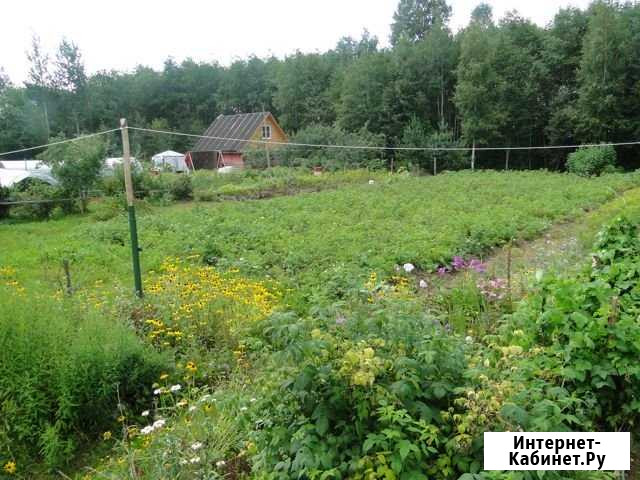 Участок ИЖС 15 сот. на продажу в Великом Новгороде Великий Новгород - изображение 1