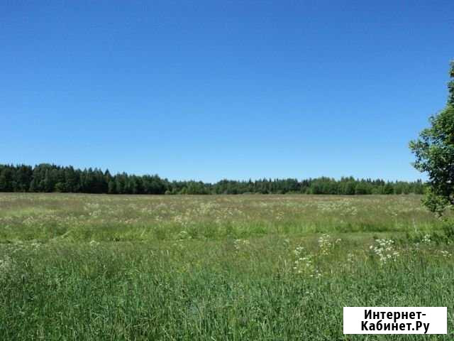 Участок СНТ, ДНП 380 сот. на продажу в Окуловке Окуловка - изображение 1