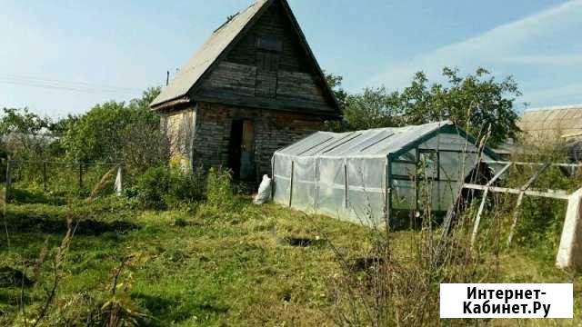 Дача 20 м² на участке 6 сот. на продажу в Пикалево Пикалево - изображение 1