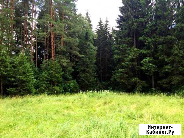 Участок ИЖС 15 сот. на продажу в Покрове Покров - изображение 1