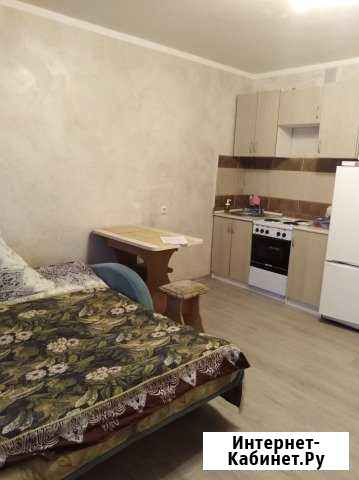 Квартира-студия, 27 м², 8/17 эт. в аренду на длительный срок в Мурино Мурино - изображение 1