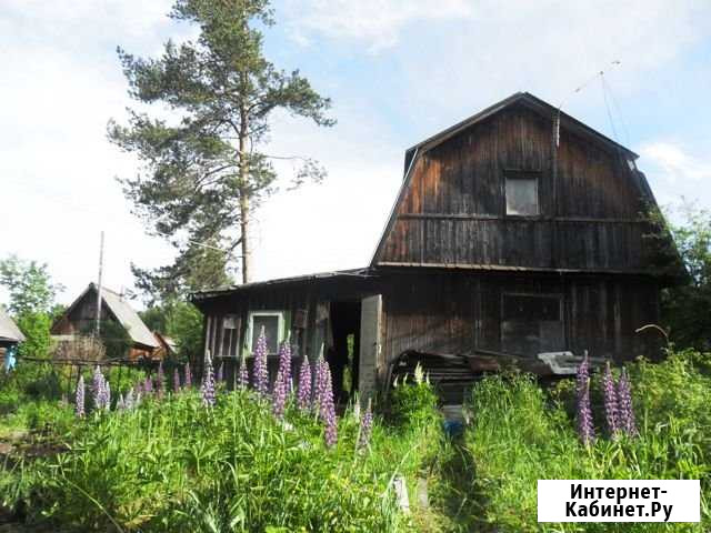 Участок СНТ, ДНП 6 сот. на продажу в Перми Пермь - изображение 1