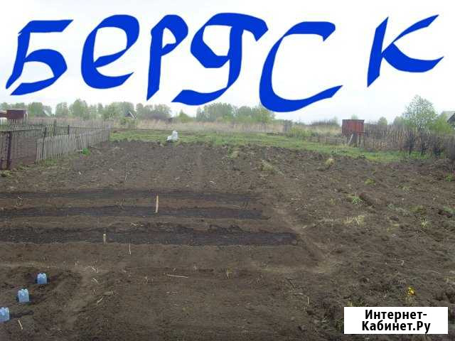 Участок СНТ, ДНП 6 сот. на продажу в Новосибирске Новосибирск - изображение 1