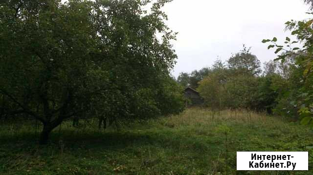 Дом 53 м² на участке 35 сот. на продажу на Острове Остров - изображение 1