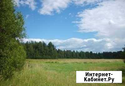 Участок СНТ, ДНП 745 сот. на продажу в Красносельском Ленинградской области Красносельское - изображение 1