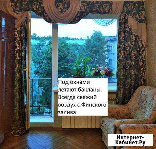 Комната 19 м² в 3-ком. кв., 5/5 эт. в аренду посуточно в Санкт-Петербурге Санкт-Петербург