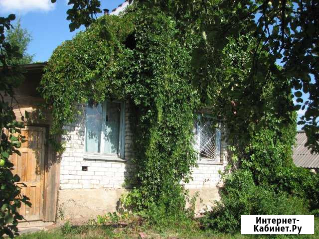 Дача 54 м² на участке 55 сот. на продажу в Палкино Палкино - изображение 1