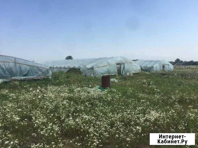 Участок СНТ, ДНП 400 сот. на продажу в Новодмитриевской Новодмитриевская - изображение 1