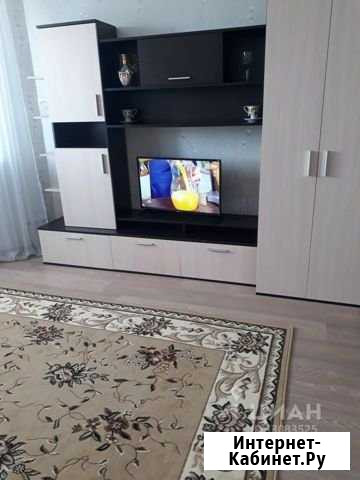 Квартира-студия, 28.1 м², 10/17 эт. в аренду на длительный срок в Красноармейске Московской области Красноармейск - изображение 1