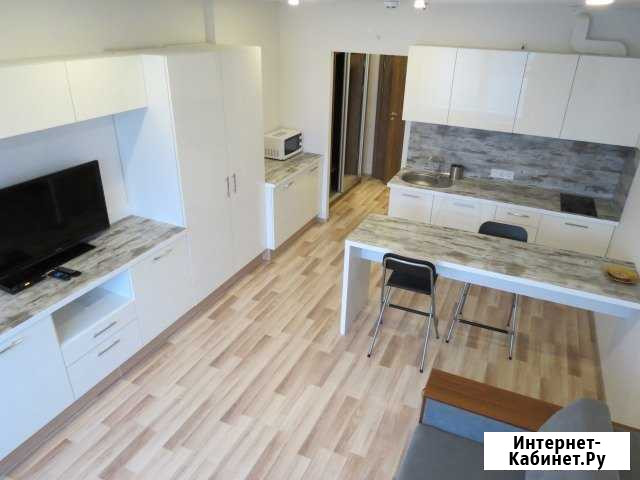 Квартира-студия, 30 м², 4/16 эт. в аренду на длительный срок в Санкт-Петербурге Санкт-Петербург - изображение 1