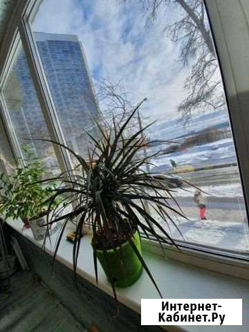 2-комнатная квартира, 48 м², 1/9 эт. на продажу в Екатеринбурге Екатеринбург - изображение 1