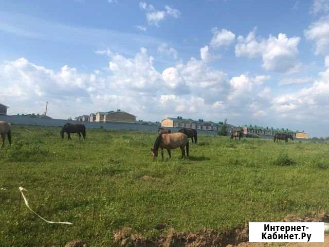 Участок ИЖС 6 сот. на продажу в Лобне Лобня - изображение 1