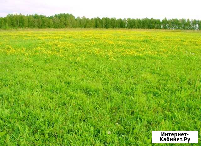 Участок СНТ, ДНП 380 сот. на продажу в Волосово Волосово - изображение 1