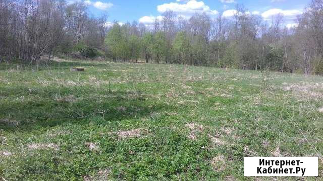Участок ИЖС 10 сот. на продажу на Лугах Луга - изображение 1