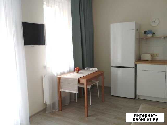 Квартира-студия, 25 м², 9/24 эт. в аренду на длительный срок в Мурино Мурино - изображение 1