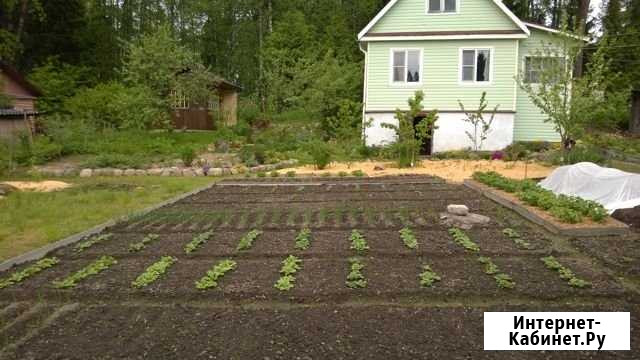 Дача 65 м² на участке 11 сот. на продажу в Выборге Выборг - изображение 1