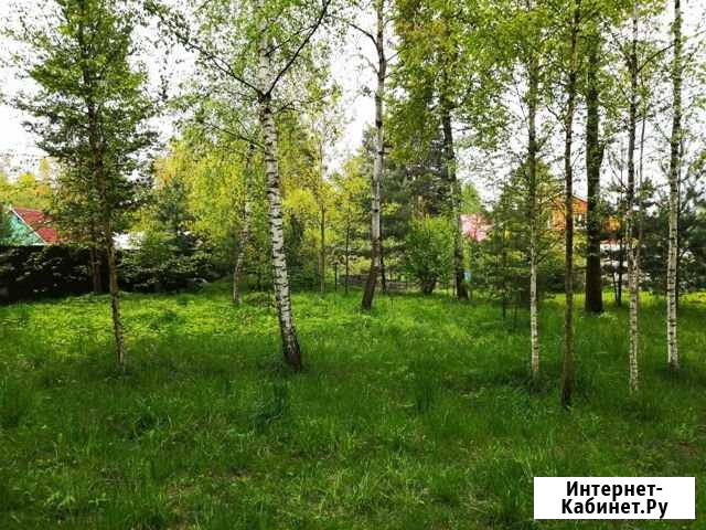 Участок СНТ, ДНП 8 сот. на продажу в Речицах Речицы - изображение 1