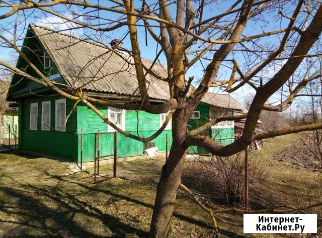 Дом 50 м² на участке 41 сот. на продажу на Лугах Луга - изображение 1