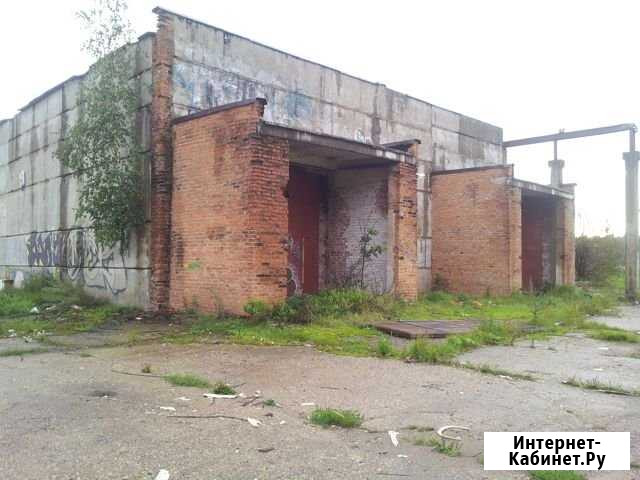 Два здания овощехранилищ, 1205 кв.м. Шаховская - изображение 1