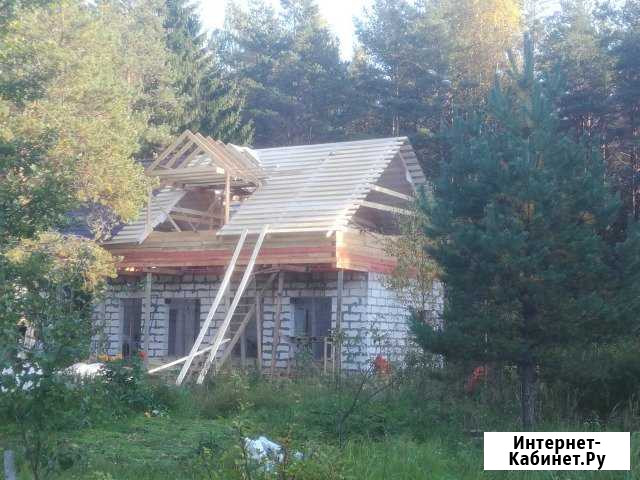 Дом 91.3 м² на участке 13.2 сот. на продажу в Лебяжьем Ленинградской области Лебяжье - изображение 1