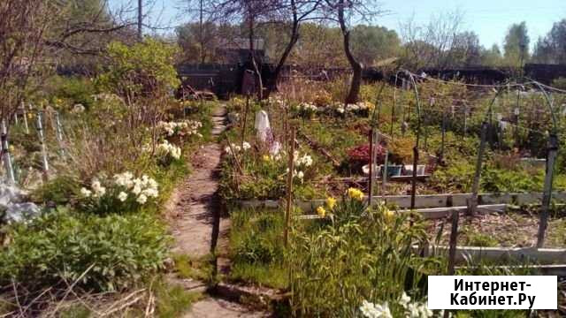 Дача 20 м² на участке 4 сот. на продажу в Ярославле Ярославль - изображение 1