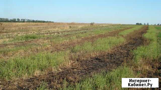 Участок ИЖС 25 сот. на продажу в Кореновске Кореновск - изображение 1
