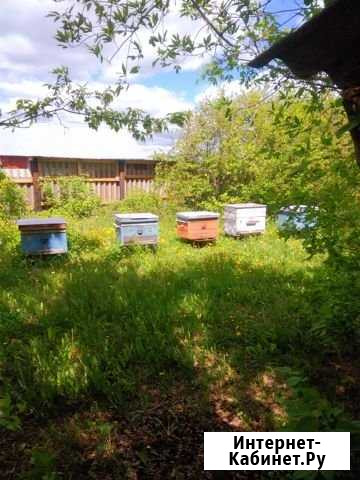 Дом 60 м² на участке 18 сот. на продажу в Осинках Осинки - изображение 1